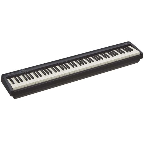 avis roland fp 10